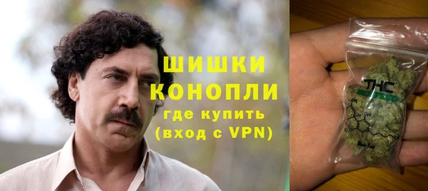прущие грибы Каменка