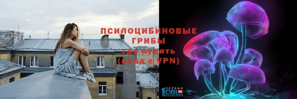 прущие грибы Каменка